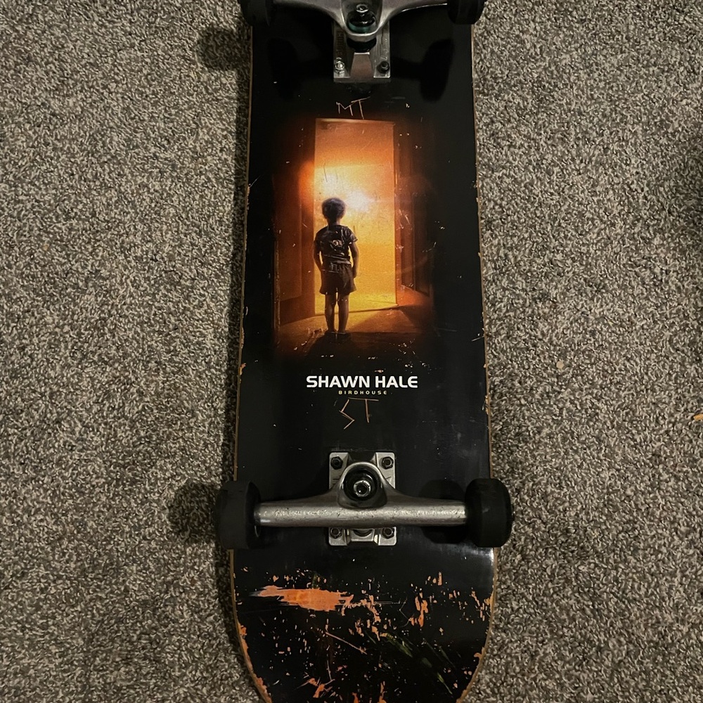 Shawn Hale fully built skateboard